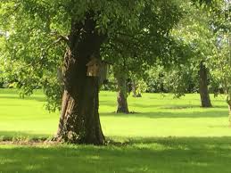 Image result for Grantham Target Shooting Club