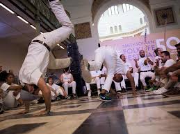 Image result for Brazilian-martial arts