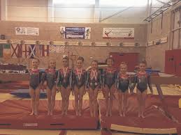 Image result for Bulmershe Gymnastics Club