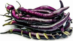 Afbeeldingsresultaat voor fengyuan purple eggplant