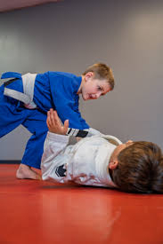 Image result for Team Renegade BJJ & Judo