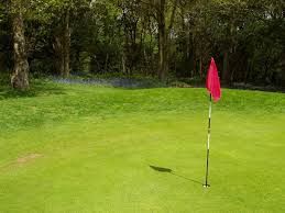 Image result for Chesham & Ley Hill Golf Club