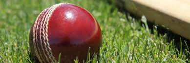Image result for Swyncombe Cricket Club