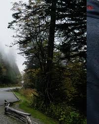 Image result for ,diqJABBBiNV