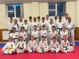 Image result for Nottingham Sankukai Karate