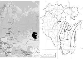 Attēlu rezultāti vaicājumam “Homomallium incurvatum sporophyte”