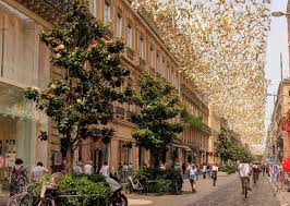 Image result for toulouse