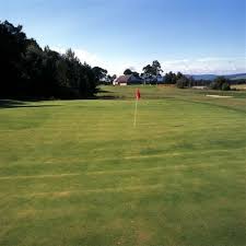 Image result for Abernethy Golf Club