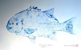 Image result for Pachymetopon grande