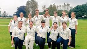 Image result for Yoxford Cricket Club
