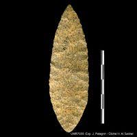 Image result for feuille-laurier-silex