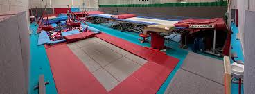 Image result for Asymmetrix Gymnastics Club