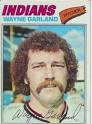 9: Wayne Garland, 1977