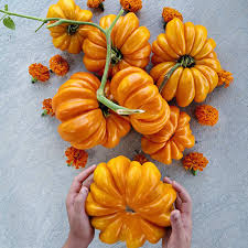 Afbeeldingsresultaat voor belarus orange tomato