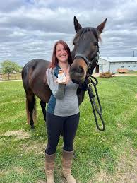 Image result for Wellington Whirlwinds Tc