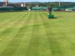 Image result for Ivybridge Bowls Club