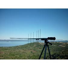 Image result for digitenne yagi