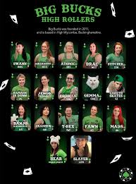 Image result for Big Bucks High Rollers