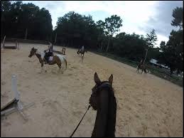 Image result for Palmers Riding Stables