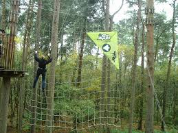 Image result for The Go Ape Experience (Delamere Forest)