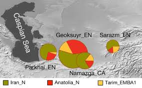 Image result for BMAC