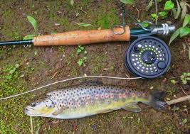 Image result for Segdoune Flyfishers` Angling Club
