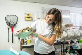 Image result for Corpus Christi Badminton Club