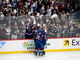 Image result for Ash Avalanche Skater Hockey Club