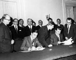 Attēlu rezultāti vaicājumam “Fuligo licentii young”