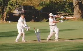 Image result for Newenden Cricket Club