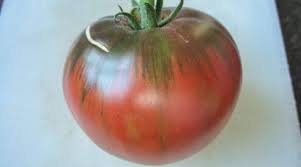 Afbeeldingsresultaat voor marizol purple tomato