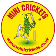 Image result for Ashtead Cricket Club