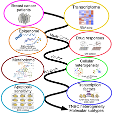 Image result for Cambridge N C I Cc
