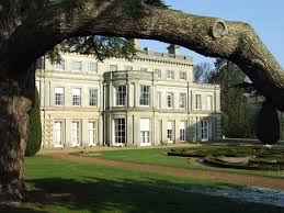 Image result for Ipswich Cricket Club