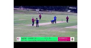 Image result for Potters Bar Cricket Club