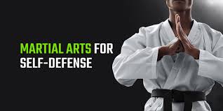 Image result for Combined self defence arts