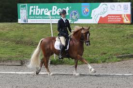 Image result for Abinger Forest Riding Club