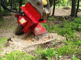 Image result for fsi tehron