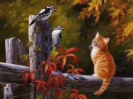 http://t0.gstatic.com/images?q=tbn:ANd9GcSHc-O7HadpCmM1IMnDGzWj7IeIbELZ9SXcnzpX8_QaR7v8noA&t=1&usg=__voGf-7hs5pzaOw7csBmJxxy7t7g=