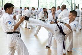 Image result for Kyokushin Karate