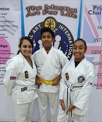 Image result for Sutton & Mitcham Choi Kwang-Do