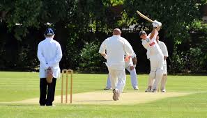 Image result for Welby Cricket Club
