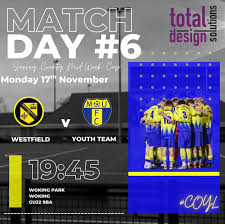 Image result for Ottershaw Girls Fc