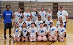 Image result for York University Volleyball Club