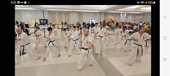 Image result for Southill Karate Club