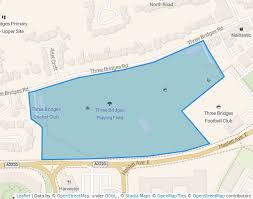 Image result for Three Bridges Cricket Club