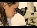 Research at Barnard