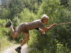 Image result for PONT DE SINGE