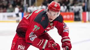 Image result for Cardiff Devils