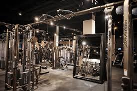 Image result for Lynx Gymnastics Club